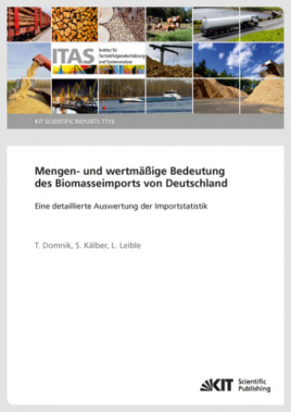 Książka Mengen- und wertmäßige Bedeutung des Biomasseimports von Deutschland - Eine detaillierte Auswertung der Importstatistik Tobias Domnik