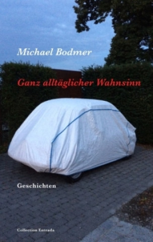Boek Ganz alltäglicher Wahnsinn Michael Bodmer