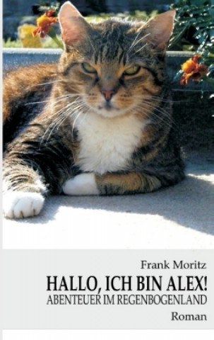 Könyv Hallo, ich bin Alex! Frank Moritz