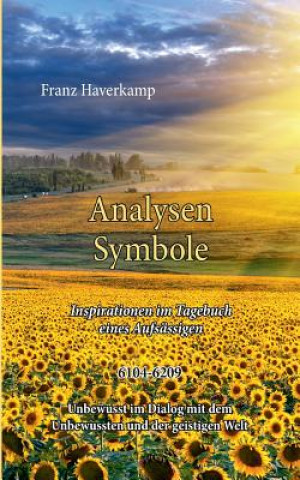 Książka Analysen Symbole 6104-6209 Franz Haverkamp