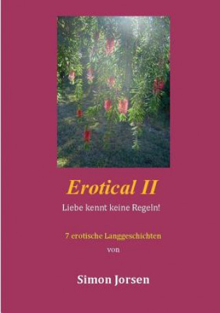 Könyv Erotical II - 7 erotische Langgeschichten Simon Jorsen