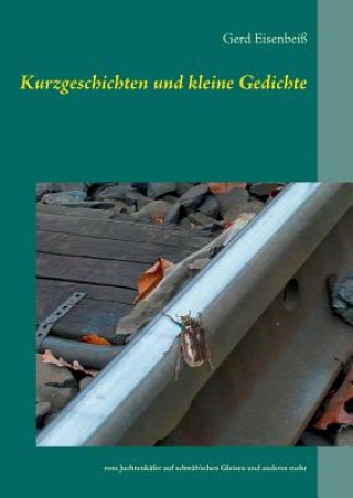 Book Kurzgeschichten und kleine Gedichte Gerd Eisenbei