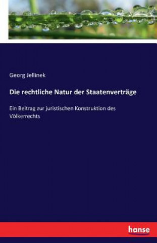 Kniha rechtliche Natur der Staatenvertrage Georg Jellinek