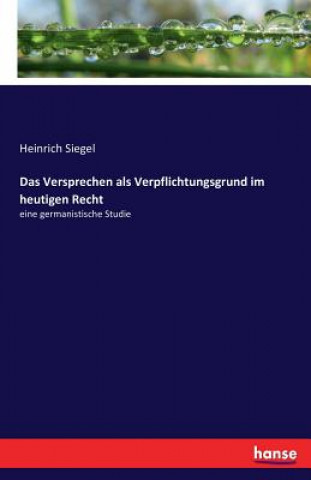 Książka Versprechen als Verpflichtungsgrund im heutigen Recht Heinrich Siegel