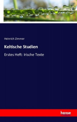 Buch Keltische Studien Heinrich Zimmer