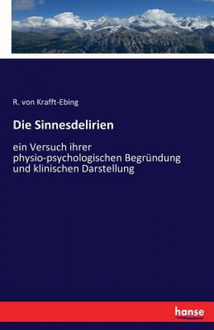 Könyv Sinnesdelirien R Von Krafft-Ebing