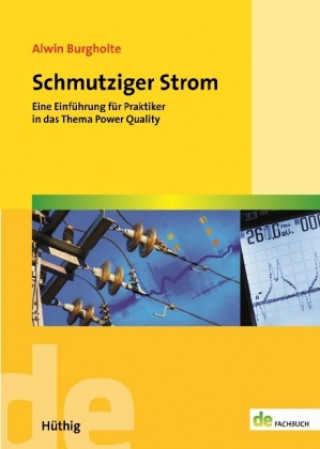 Książka Schmutziger Strom Alwin Burgholte