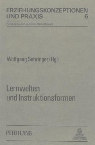 Könyv Lernwelten und Instruktionsformen Wolfgang Sehringer