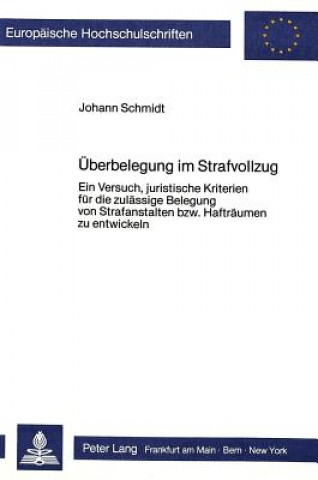 Kniha Ueberbelegung im Strafvollzug Johann Schmidt