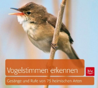 Könyv Vogelstimmen erkennen, Audio-CD Andreas Schulze