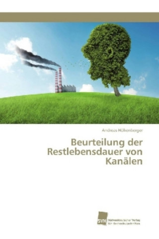 Könyv Beurteilung der Restlebensdauer von Kanalen Andreas Höhenberger