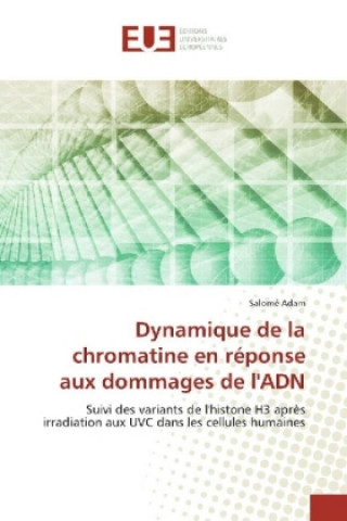 Книга Dynamique de la chromatine en réponse aux dommages de l'ADN Salomé Adam