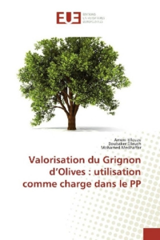 Boek Valorisation du Grignon d'Olives : utilisation comme charge dans le PP Ameni Ellouze