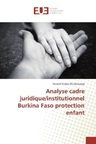 Kniha Analyse cadre juridique/institutionnel Burkina Faso protection enfant Mawuli Kodzo Afiademanyo