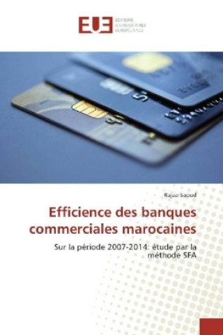 Könyv Efficience des banques commerciales marocaines Rajaa Saoud