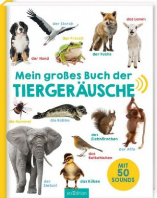 Kniha Mein großes Buch der Tiergeräusche 