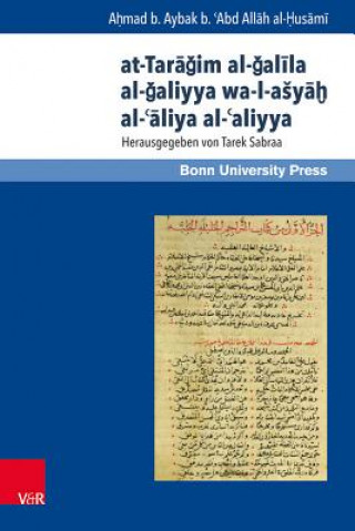Kniha Mamluk Studies Ahmad B. Aybak Ibn Ad-Dumyati