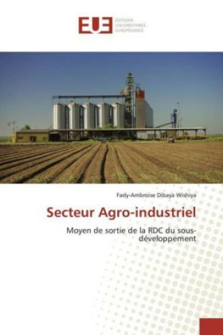 Książka Secteur Agro-industriel Fady-Ambroise Dibaya Wishiya