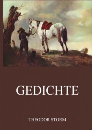 Knjiga Gedichte Theodor Storm