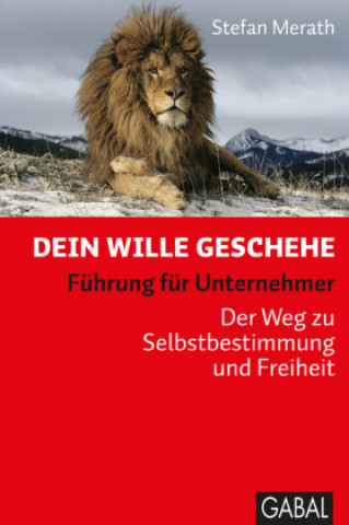 Buch Dein Wille geschehe Stefan Merath