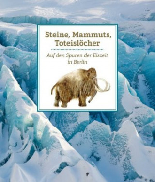 Kniha Steine, Mammuts, Toteislöcher Beate Witzel