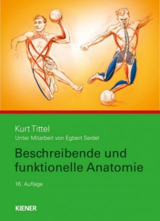Kniha Beschreibende und funktionelle Anatomie Kurt Tittel
