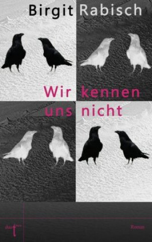 Book Wir kennen uns nicht Birgit Rabisch