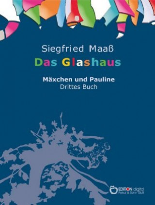 Kniha Das Glashaus Siegfried Maaß