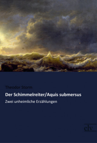 Carte Der Schimmelreiter / Aquis submersus Theodor Storm