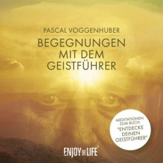 Audio Begegnungen mit dem Geistführer, Audio-CD Pascal Voggenhuber