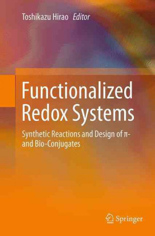 Kniha Functionalized Redox Systems Toshikazu Hirao