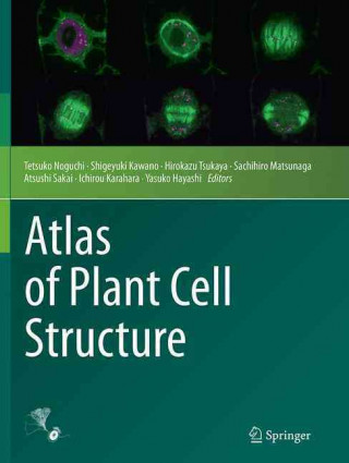 Книга Atlas of Plant Cell Structure Tetsuko Noguchi