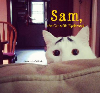 Carte Sam, the Cat with Eyebrows Amanda Collado