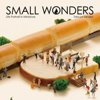 Kniha Small Wonders: Life Portrait in Miniature Tatsuya Tanaka