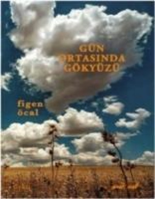 Knjiga Gün Ortasinda Gökyüzü Figen Öcal