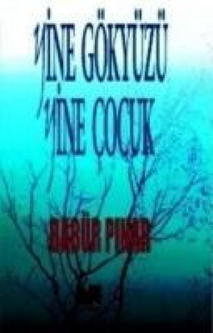 Boek Yine Gökyüzü Yine Cocuk Babür Pinar