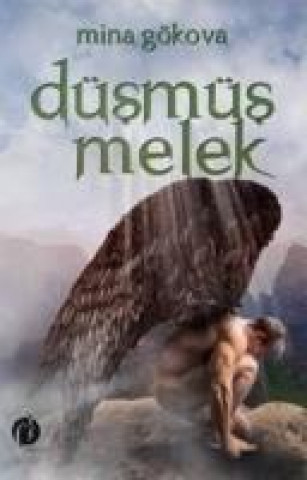 Книга Düsmüs Melek Mina Gökova