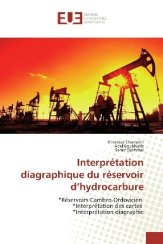 Carte Interprétation diagraphique du réservoir d'hydrocarbure Khemissi Chamekh