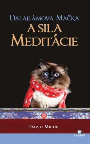 Könyv Dalajlámova mačka a sila meditácie David Michie