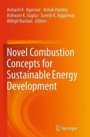 Книга Novel Combustion Concepts for Sustainable Energy Development Avinash K. Agarwal