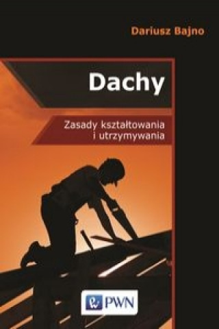 Kniha Dachy Dariusz Bajno