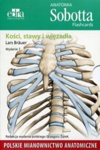 Könyv Anatomia Sobotta Flashcards Kosci stawy i wiezadla Lars Brauer