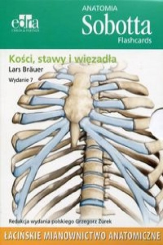 Könyv Anatomia Sobotta Flashcards Kosci stawy i wiezadla Lars Brauer