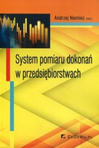 Książka System pomiaru dokonan w przedsiebiorstwach 