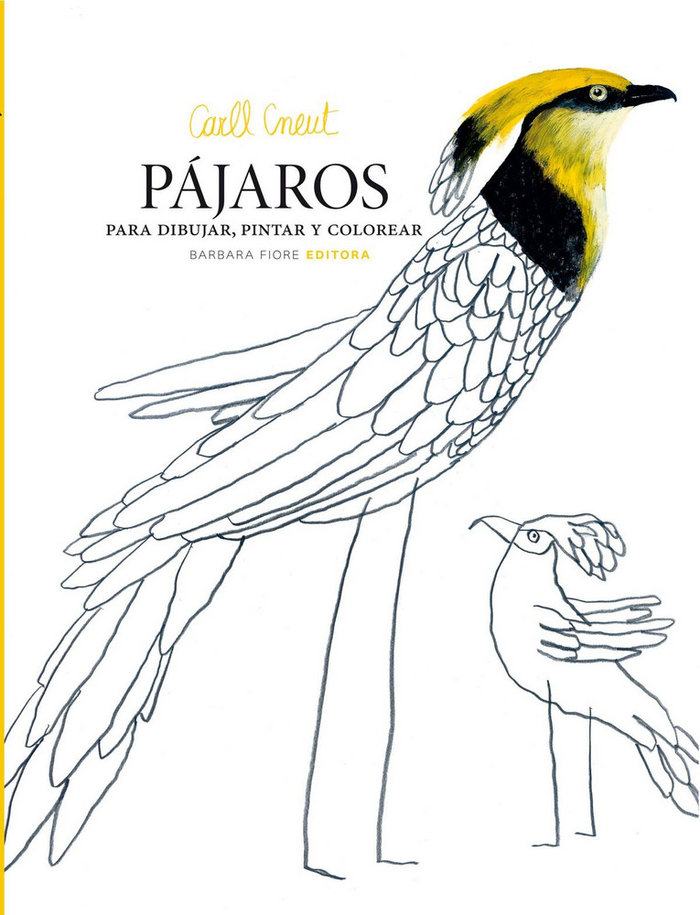 Carte Pájaros para dibujar, pintar y colorear 
