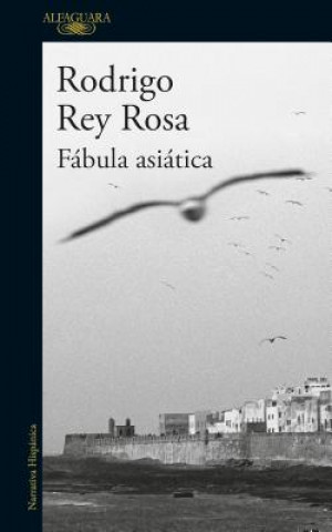 Könyv Fabula asiatica / An Asian Fable RODRIGO REY ROSA