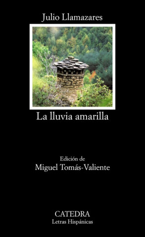 Книга La lluvia amarilla JULIO LLAMAZARES