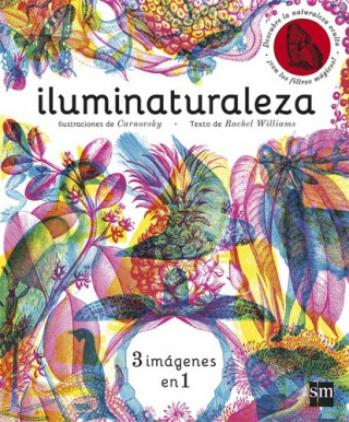 Книга Iluminaturaleza RACHEL WILLIAMS