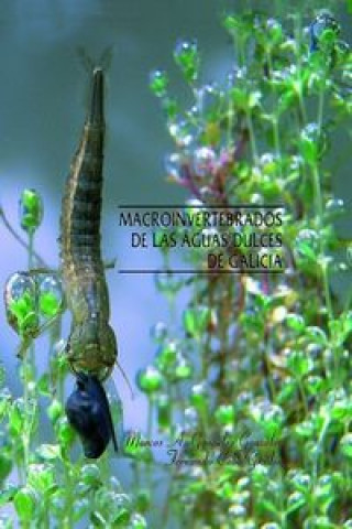 Carte Macroinvertebrados de las aguas dulces de Galicia Fernando Cobo Gradín