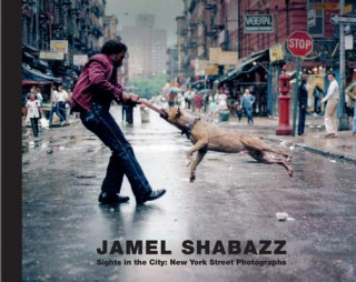 Könyv Sights in the City: New York Photographs Jamel Shabazz